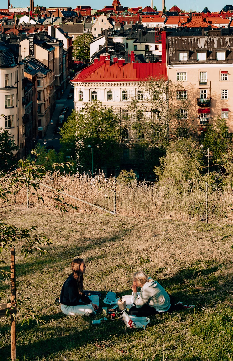 En utsikt över Stockholm med två kvinnor som äter picknick